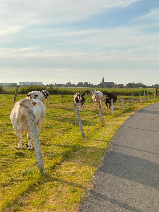 Gastenverblijf Hof Moye Tyt Middelkerke Exteriér fotografie
