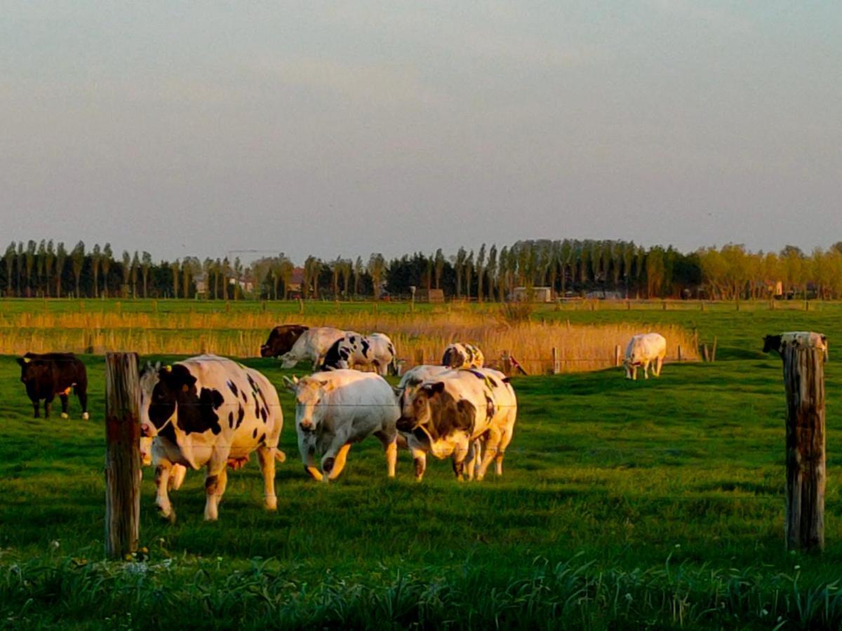 Gastenverblijf Hof Moye Tyt Middelkerke Exteriér fotografie