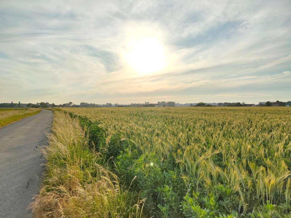 Gastenverblijf Hof Moye Tyt Middelkerke Exteriér fotografie